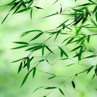 斩仙录内购破解版下载