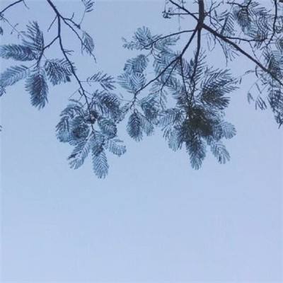 天空双球撞击最新版
